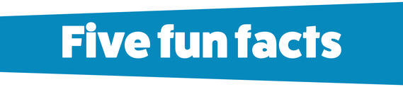 Five Fun Facts