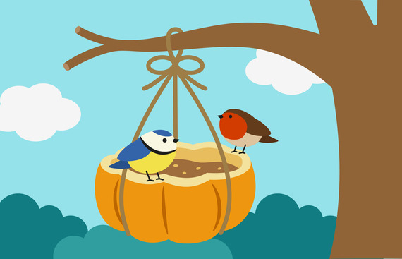 Illustration of birds sat on a pumpkin bird feeder.