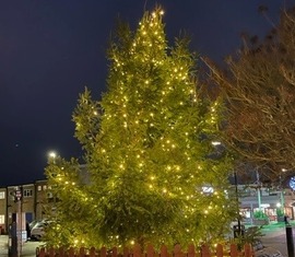 tree