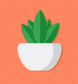Potted plant