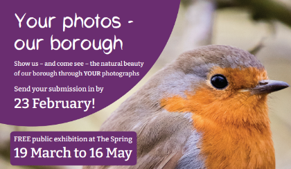 Photo comp