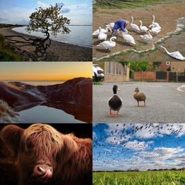 Photo competition
