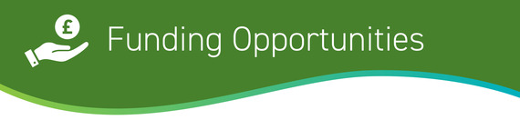 Funding opportunities subheader