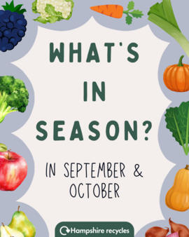 Eat seasonally this autumn