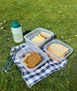 Litter-free picnic