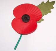 Hertsmere remembers the fallen 