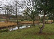 Aberford Park river improvements