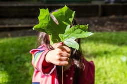 A girl holding a leaf in front of her face.