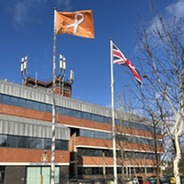 The White Ribbon Flag being flown outside the Civic Offices