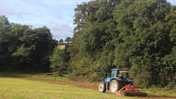 Preparing a meadow restoration site for seeding using a power harrow 