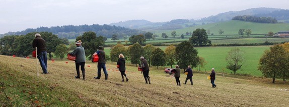 Seeding a new meadow with a group of local volunteers