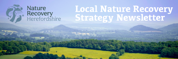 Local nature recovery strategy newsletter 