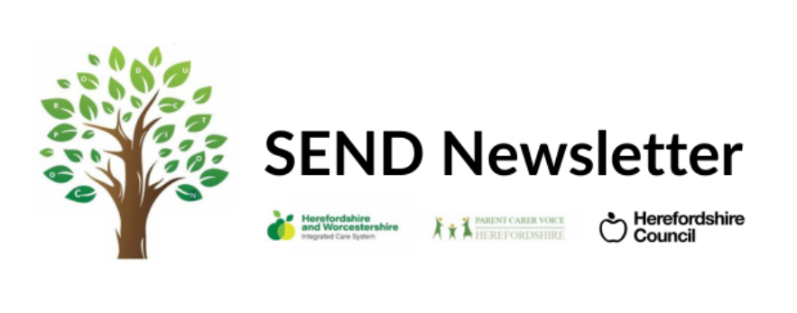 SEND newsletter logo