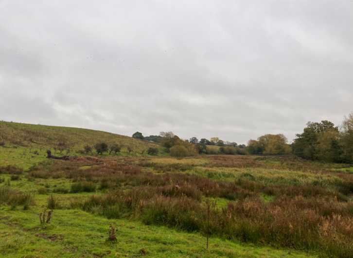 NFM Beckbury wetland Oct 2024(higher quality)