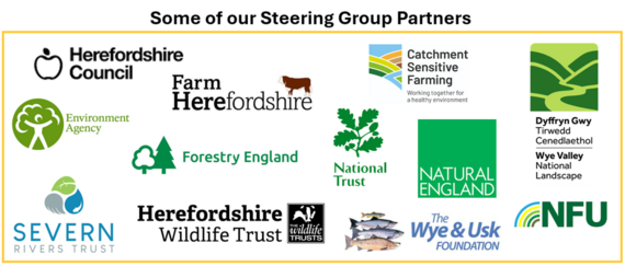 NFM steering group logos