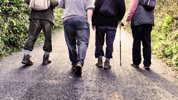 A group of ramblers