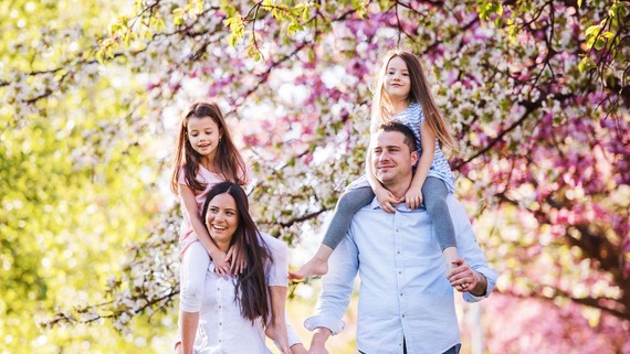 a family walking under cherry blossom trees