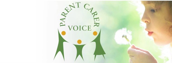 Parent Carer Voice Logo