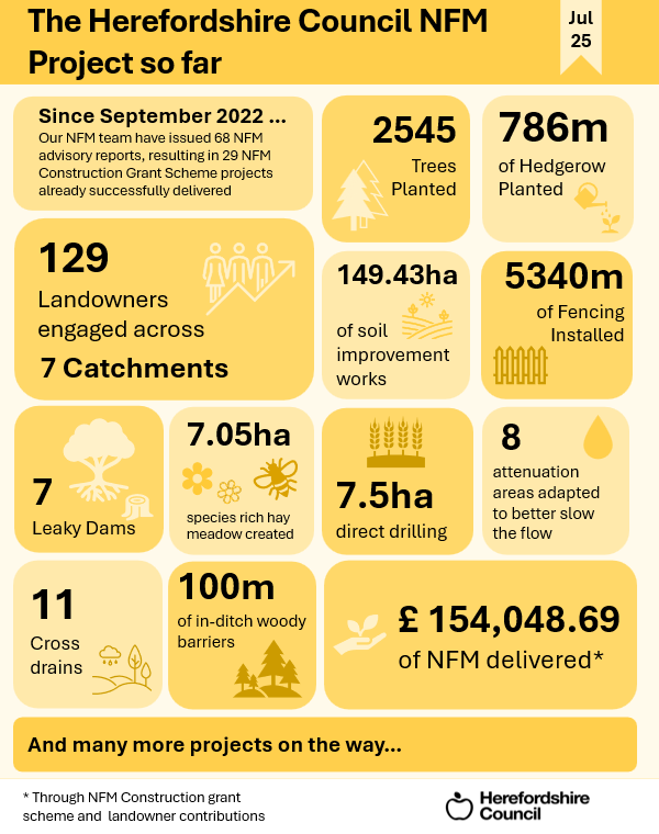 NFM Project July Overview 