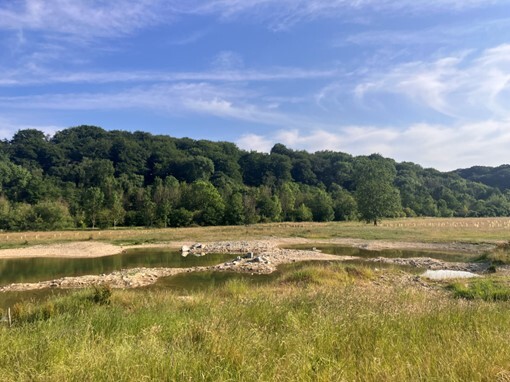 Mowley Valley scrapes