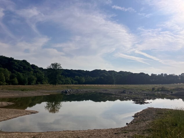 Mowley Valley attenuation ponds June 2025