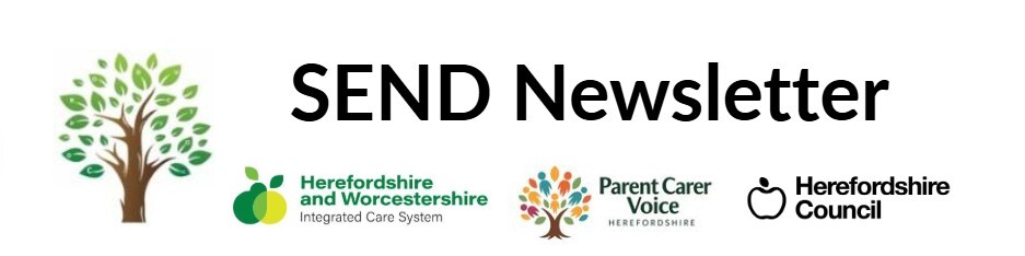 SEND Newsletter header