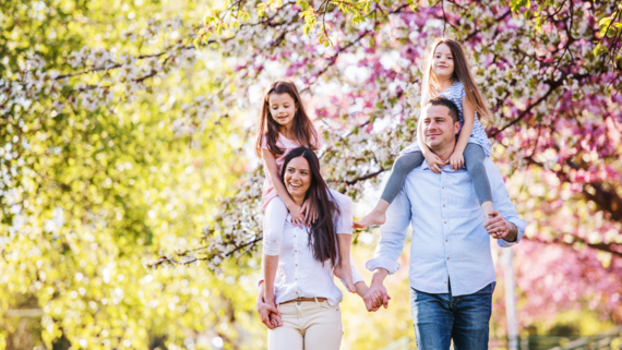 a family walking under cherry blossom