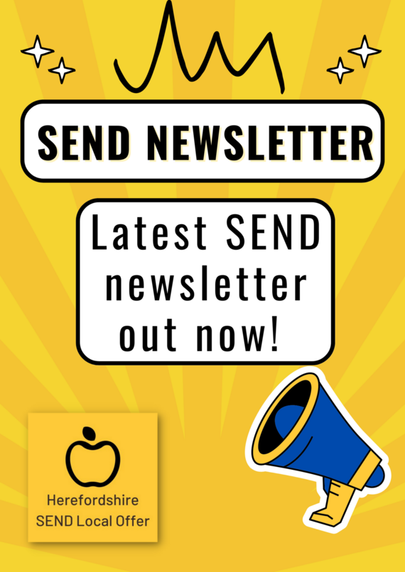 SEND newsletter promotional flyer