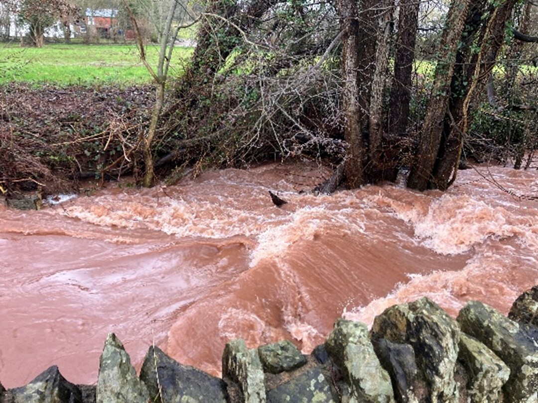 High flows dulas nfm