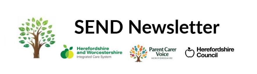 SEND newsletter and partner logos