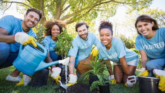a group of volunteers watering a plant