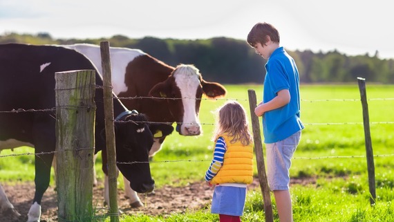 two children with a cow