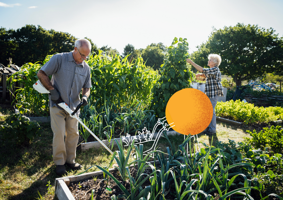 a talk community hector mascot gardening