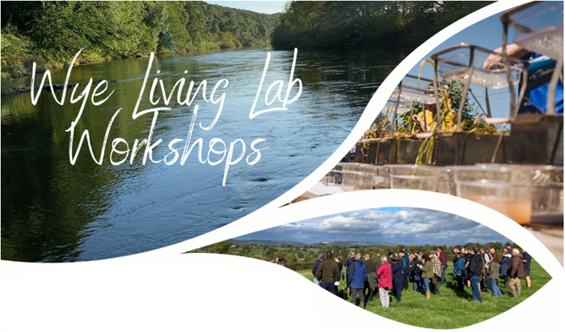 Living labs