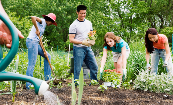 Group planting in community garden