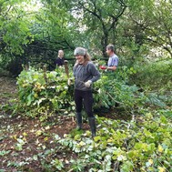 A303 team volunteering in Wiltshire