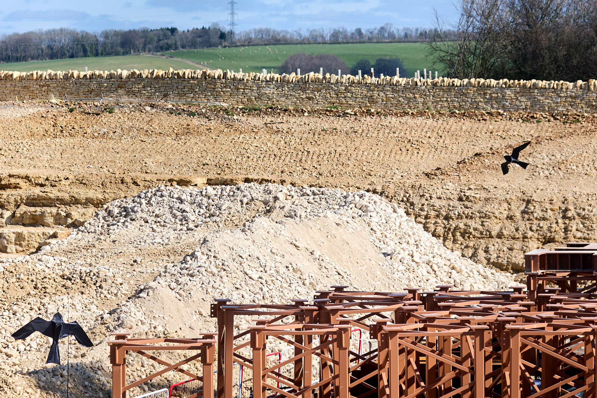 kites in place around the site to deter birds from nesting kites in place around the site to deter birds from nesting