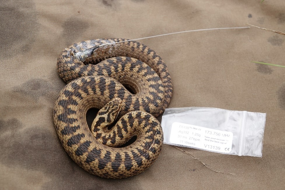 An adder 