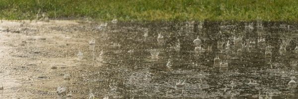 raindrops on pavement