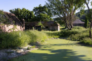 Restored pond to improve biodiversity