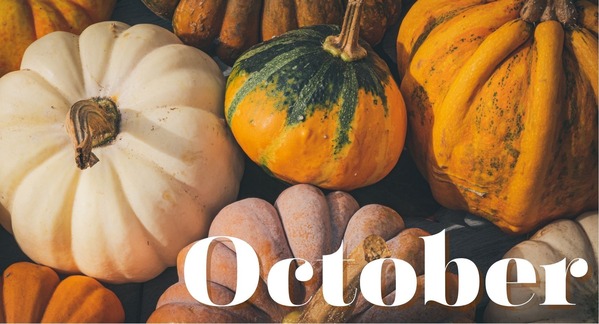 October newsletter header