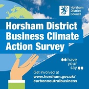  Business Climate Action Survey