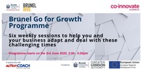 Brunel go for growth programme