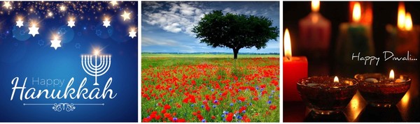 Image of poppies in field, happy hannukah and happy diwali