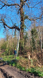 Bat Box 