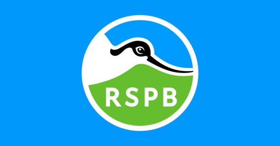 rspb 