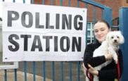 Polling station dog