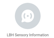 sensory information 