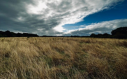 Hanworth air park landscape