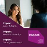 Impact government